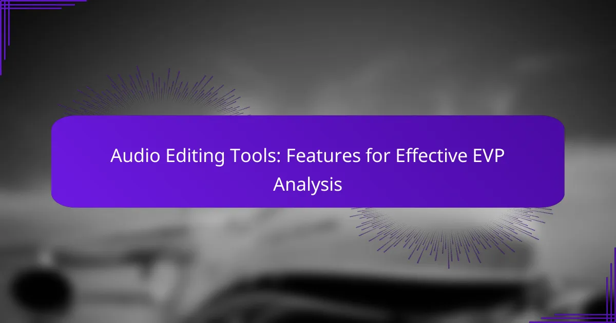 Audio Editing Tools: Features for Effective EVP Analysis