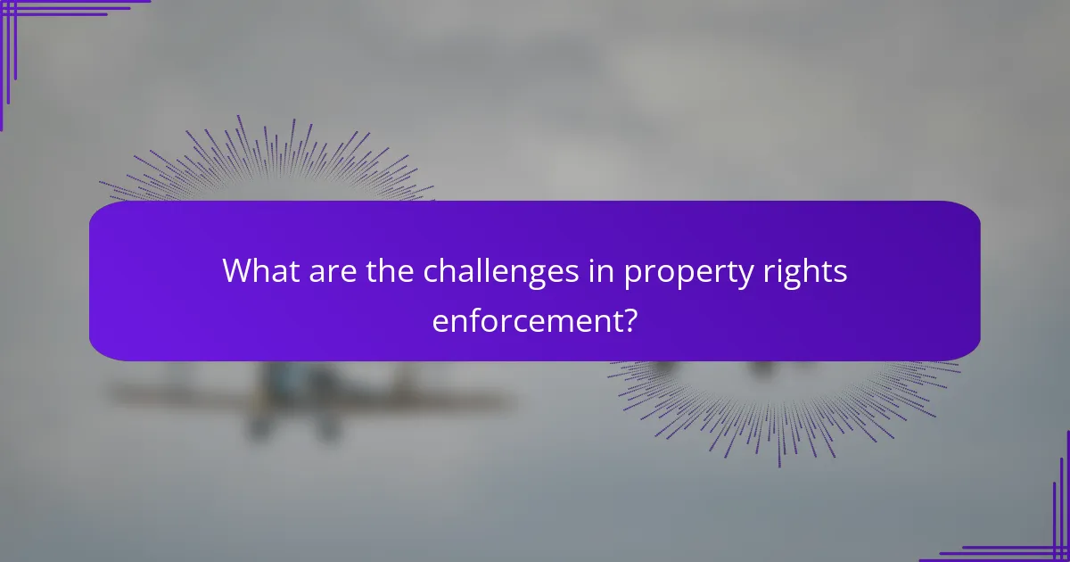 What are the challenges in property rights enforcement?