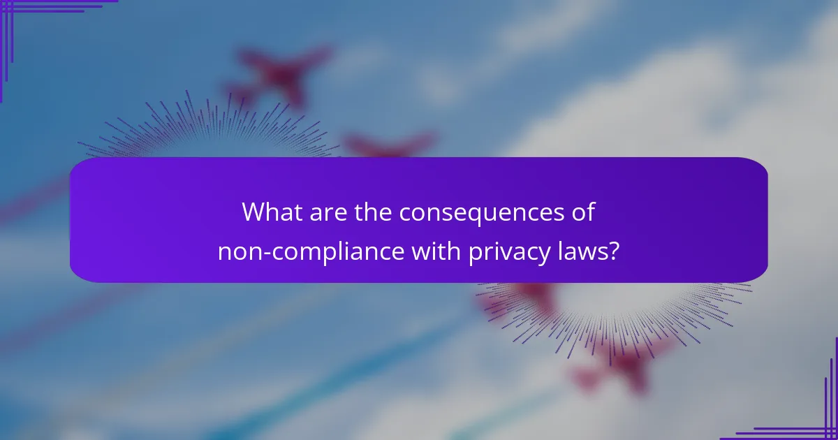 What are the consequences of non-compliance with privacy laws?