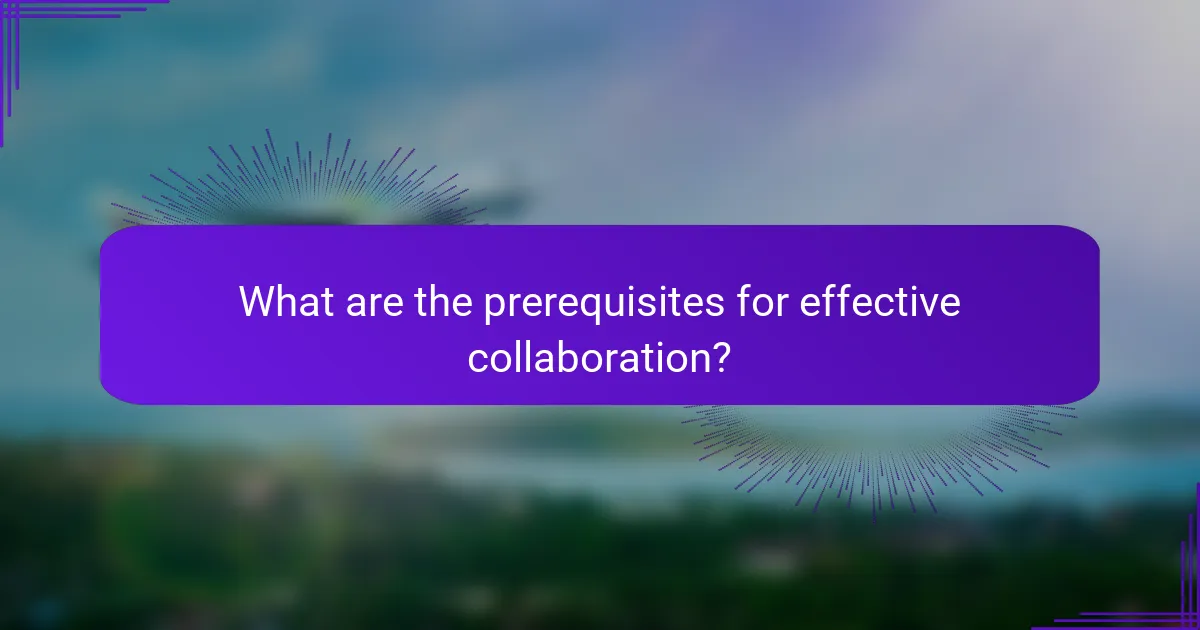 What are the prerequisites for effective collaboration?